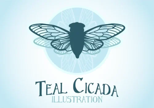 The Teal Cicada Illustration Logo.