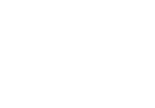 The Real Fiction Studios logo showcases artistic text and incorporates an abstract leaf pattern.